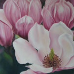 Magnolie