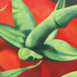 Tomate